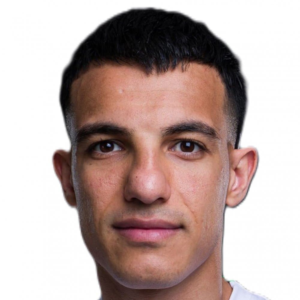 Amirhossein Hosseinzadeh