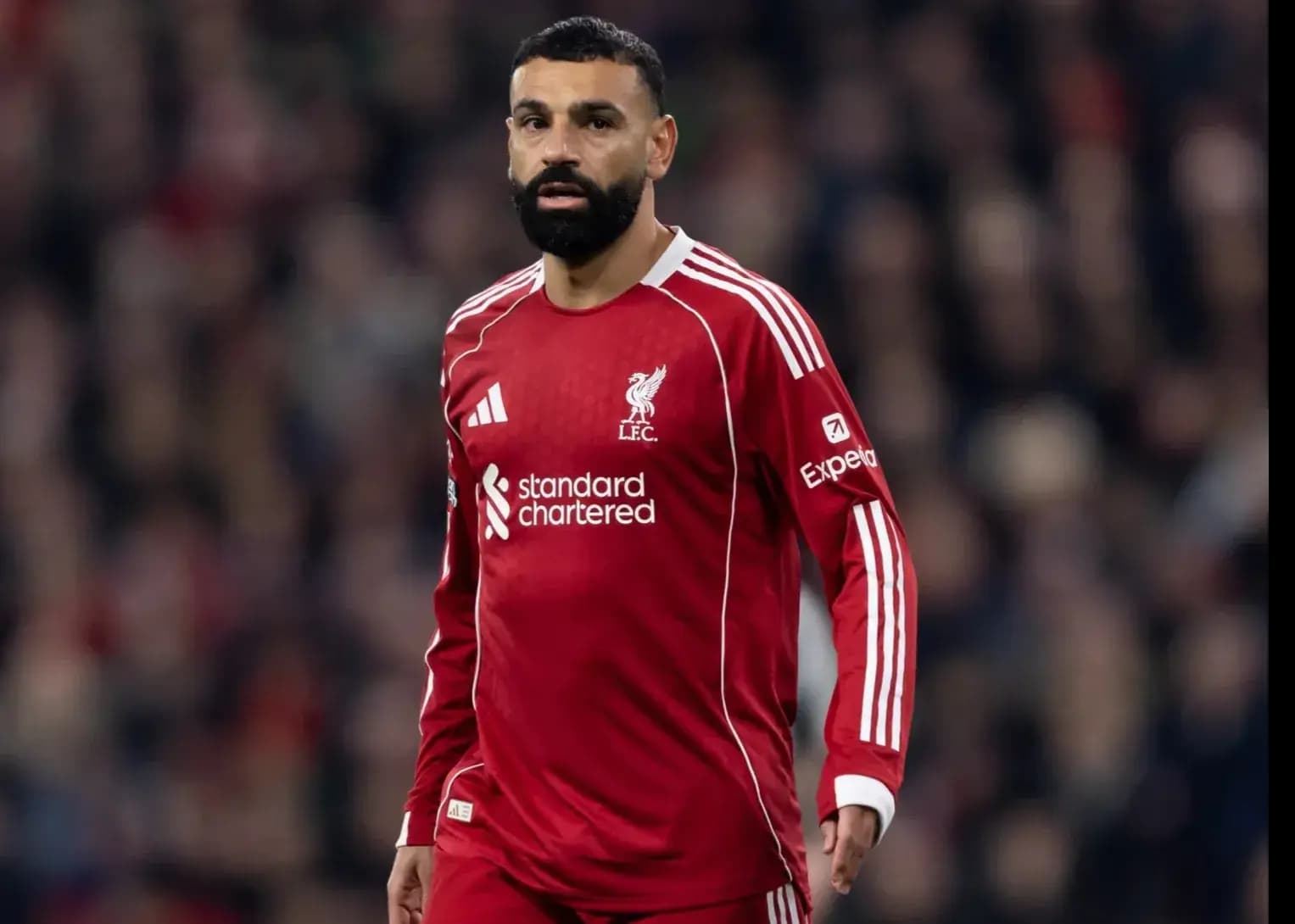 ثروت خالص محمد صلاح سر به فلک کشید